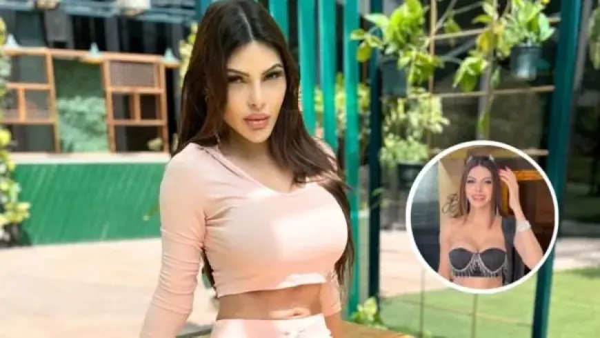 Sherlyn Chopra ने तोड़ी सारी सीमाएं, पहने उनके जैसे कपड़े, पैपराजी से बोलीं- 'कुछ दिखे तो...'